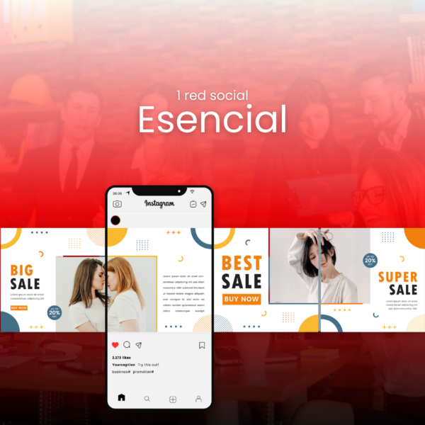 Plan Esencial Anual